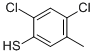 2,4-dichloro-5-methylthiophenol CAS#: 28225-88-9