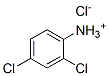 2,4-dichloroanilinium chloride CAS#: 29084-76-2