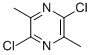 2,5-DICHLORO-3,6-DIMETHYLPYRAZINE CAS#: 27023-19-4