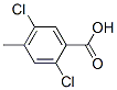 2,5-Dichloro-4-methylbenzoic acid CAS#: 21460-88-8