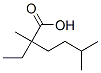 2,5-dimethyl-2-ethylhexanoic acid CAS#: 24353-79-5