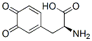 (S)-α-Amino-3,4-dioxo-1,5-cyclohexadiene-1-propanoic acid CAS#: 25520-73-4