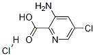 3-AMino-5-chloropyridine-2-carboxylic acid hydrochloride CAS#: 212378-43-3