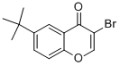 3-BROMO-6-TERT-BUTYLCHROMONE CAS#: 288399-52-0