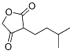 3-Isopentyl-2,4(3H,5H)-furandione CAS#: 22884-77-1
