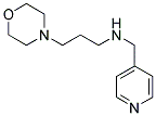 (3-MORPHOLIN-4-YL-PROPYL)-PYRIDIN-4-YLMETHYL-AMINE CAS#: 227017-95-0