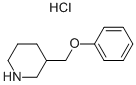 3-(PHENOXYMETHYL)PIPERIDINE HYDROCHLORIDE CAS#: 28569-09-7