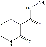 3-Piperidinecarboxylicacid,2-oxo-,hydrazide(9CI) CAS#: 215778-26-0
