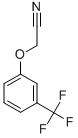 3-(TRIFLUOROMETHYL)PHENOXYACETONITRILE CAS#: 2145-31-5