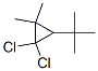 3-tert-Butyl-1,1-dichloro-2,2-dimethylcyclopropane CAS#: 17171-92-5