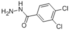 3,4-DICHLOROBENZENE-1-CARBOHYDRAZIDE CAS#: 28036-91-1