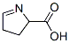 3,4-dihydro-2H-pyrrole-2-carboxylic acid CAS#: 2906-39-0