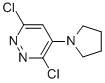3,6-DICHLORO-4-(1-PYRROLIDINYL)PYRIDAZINE CAS#: 21415-33-8