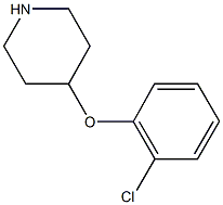 4-(2-CHLOROPHENOXY)PIPERIDINE CAS#: 245057-65-2
