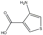 4-Amino-3-thiophenecarboxylic acid CAS#: 26112-64-1