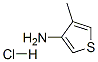 4-methylthiophen-3-amine hydrochloride CAS#: 24030-00-0