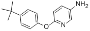 5-AMINO-2-(4-TERT-BUTYLPHENOXY)PYRIDINE CAS#: 218457-67-1