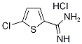 5-Chlorothiophene-2-carboximidamide hydrochloride CAS#: 202336-16-1