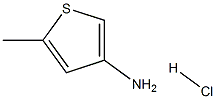 5-Methylthiophen-3-aMine hydrochloride CAS#: 24030-01-1