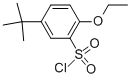 5-TERT-BUTYL-2-ETHOXYBENZENE-1-SULFONYL CHLORIDE CAS#: 252898-57-0