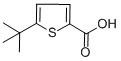 5-TERT-BUTYL-THIOPHENE-2-CARBONYL CHLORIDE CAS#: 29212-25-7