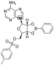 5'-TOSYLADENOSINE-2',3'-O-PHENYLBORONATE CAS#: 23312-76-7