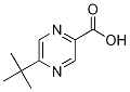 5-(Tert-butyl)pyrazine-2-carboxylic acid CAS#: 242813-48-5