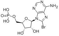 8-BROMOADENOSINE 5'-MONOPHOSPHATE CAS#: 23567-96-6