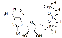 8-bromoadenosine 5'-triphosphate CAS#: 23567-97-7