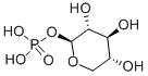 A-D-XYLOSE 1-PHOSPHATE*DI(MONOCYCLOHEXYLAMMONIUM) CAS#: 25799-81-9