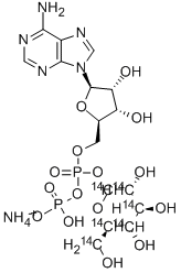 ADENOSINE 5'-DIPHOSPHO-(D-GLUCOSE-UL-14C) AMMONIUM SALT CAS#: 208171-89-5