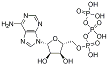 ADENOSINE 5'-TRIPHOSPHATE CAS#: 16610-49-4