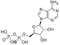 এডিপি CAS #: 58-64-0