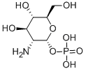 ALPHA-D-GLUCOSAMINE 1-PHOSPHATE CAS#: 2152-75-2