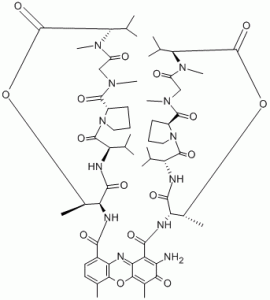 Actinomycin-D-CAS-50-76-0