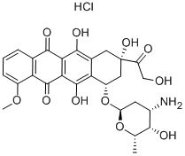 Adriamycin CAS #: 23214-92-8