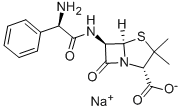 Ampisilin sodyum CAS #: 69-52-3