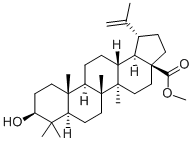 BETULINIC ACID METHYL ESTER CAS#: 2259-06-5