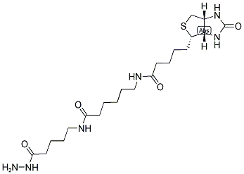 BIOTIN-XX-HYDRAZIDE CAS#: 211237-33-1