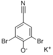 BROMOXYNIL-POTASSIUM CAS#: 2961-68-4