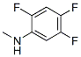 Benzenamine, 2,4,5-trifluoro-N-methyl- (9CI) CAS#: 256412-92-7