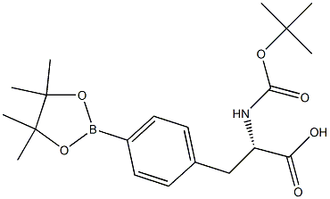 Boc-4-pinicalborane-L-phenylalanine CAS#: 216439-76-8