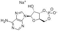 CAMP SODIUM SALT CAS #: 37839-81-9