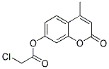 CHLORO-ACETIC ACID 4-METHYL-2-OXO-2H-CHROMEN-7-YL ESTER CAS#: 105738-24-7