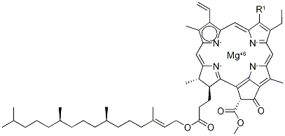 CHLOROPHYLL CAS#: 1406-65-1
