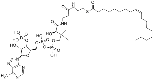 CIS-9-OCTADECENOYL COENZYME A POTASSIUM SALT CAS#: 1716-06-9