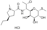 Clindamycin hydrochloride CAS#: 21462-39-5