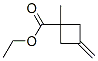 Cyclobutanecarboxylic acid, 1-methyl-3-methylene-, ethyl ester (9CI) CAS#: 227607-41-2