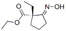 Cyclopentanecarboxylic acid, 1-ethyl-2-(hydroxyimino)-, ethyl ester, (1S,2E)- CAS#: 258834-15-0