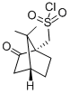 D(+)-10-Camphorsulfonyl chloride CAS#: 21286-54-4
